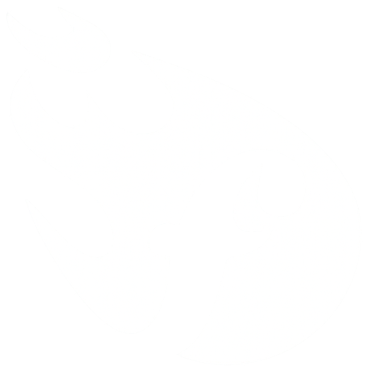 Fortuva logo - Solana Blockchain Market Analysis Platform